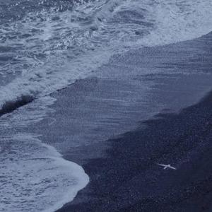 免费看裸体🔞🔞🔞网水视频
