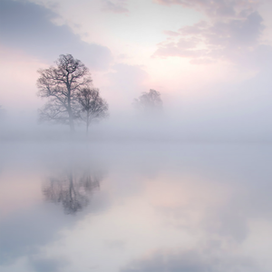 免费看裸体🔞🔞🔞网水视频
